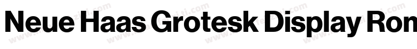 Neue Haas Grotesk Display Roman字体转换
